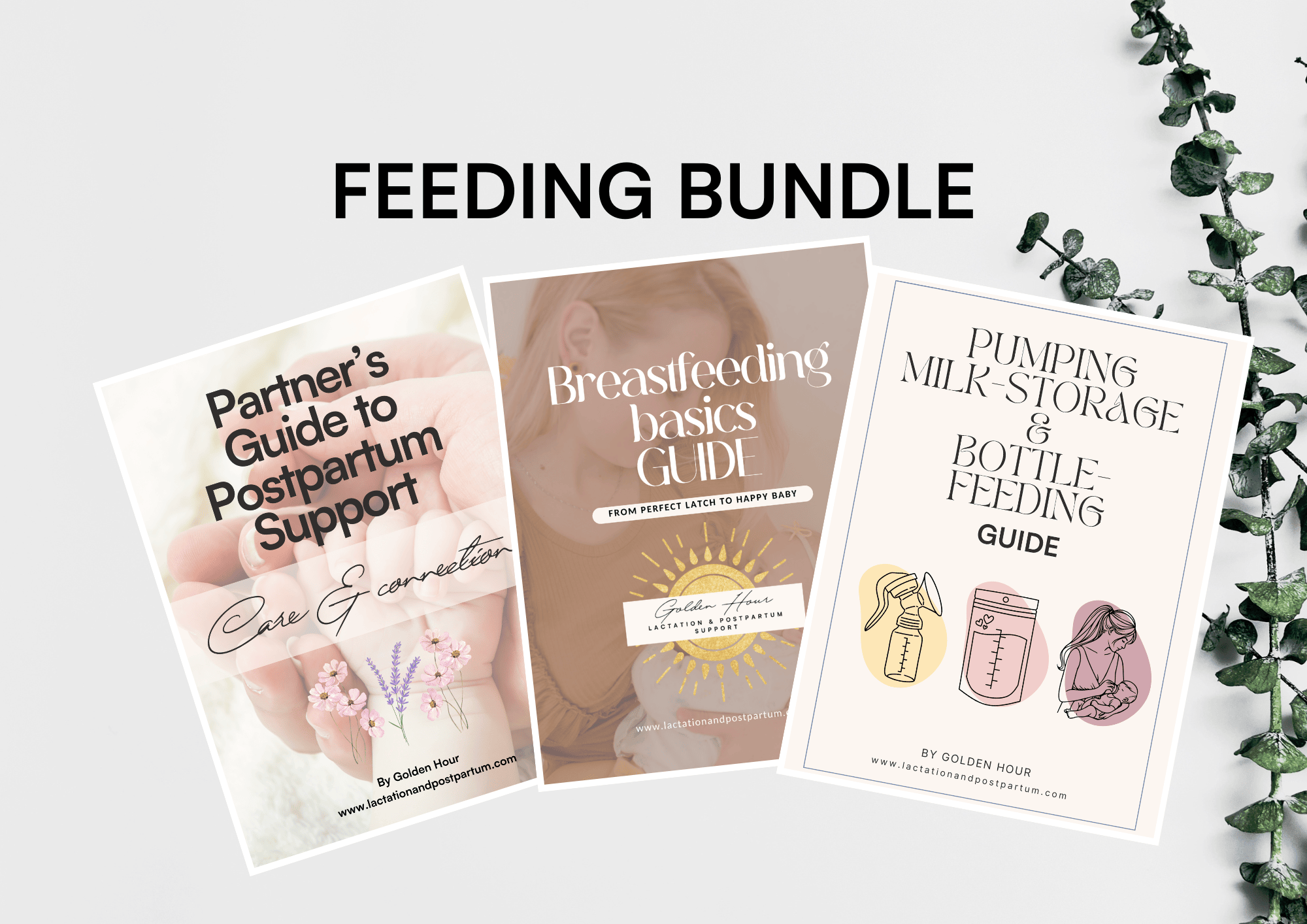BREASTFEEDING BUNDLE (Breastfeeding Basics, Pumping, Milk Storage & Bottle-Feeding, Partners Guide)