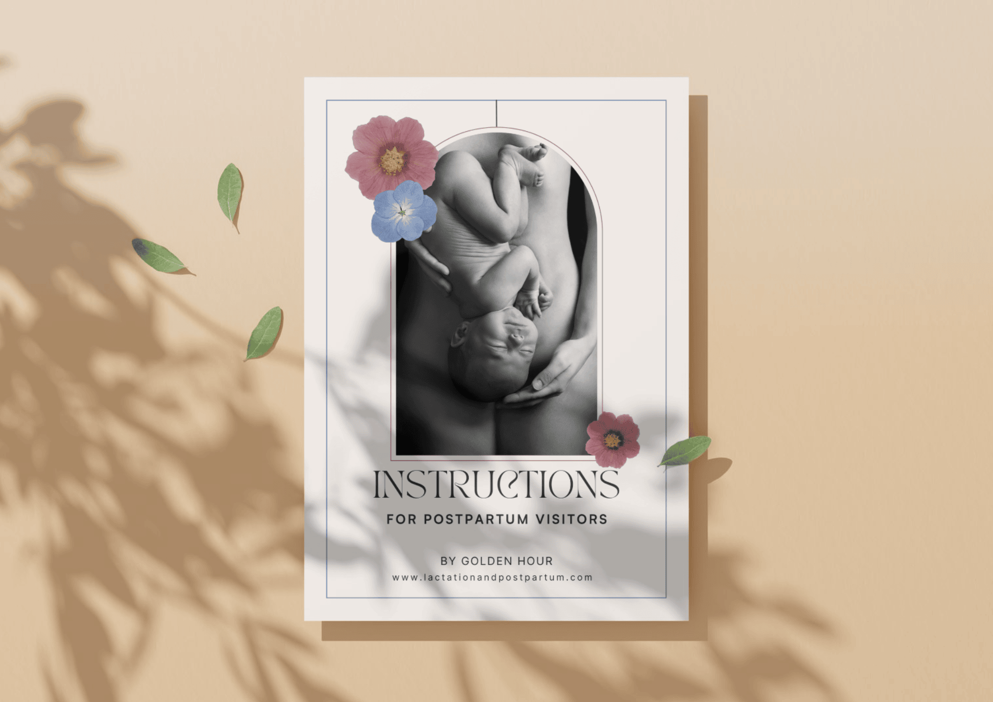 Instructions for Postpartum Visitors